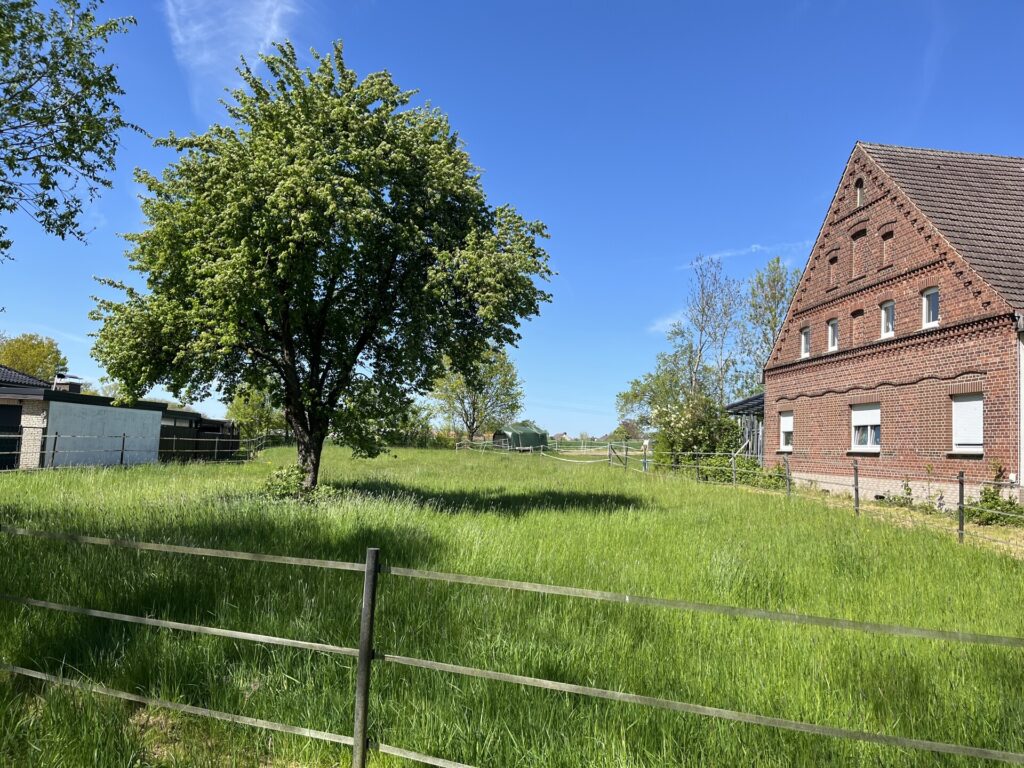 Blick von der Straße