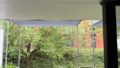 Blick in den Garten